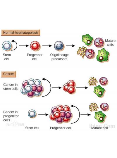 未來已來！干細胞療法在老年疾病治療方面的潛力正在逐步顯現！